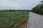 Vand teren Mariuta - Belciugatele-1000mp - Intravilan - 19€/mp-Direct Proprietar - 5