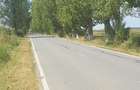 Propr. vand sub pretul pietei, 500 ,1000, sau 1500 mp intravilan , Snagov, coada lacului