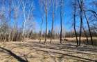 Teren 1667 MP | Zona Strand | Bulevard Dem Radulescu - 2