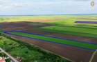 Teren cu potential 6,9 ha in Munar