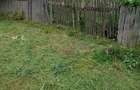 2 case de vinzare IN BOIAN 25000 eur pe casa - 3