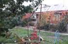 Vand casa in Dealu Morii - 4