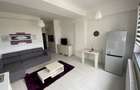 Apartament 1 camera Cubis Tatarasi - 7