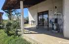 Casa 4 camere 120 mp, teren 5000 mp.. Sud - Satu Mare (Satu-Mare) - 6