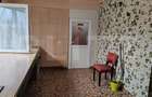 Casa individuala si 5.500 mp de teren intravilan, loc. Sanpaul, Cluj - 8