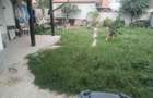Casa de vanzare, Sebes Alba,zona Clasic, linistita,vecini de treaba. - 10
