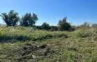 Teren de 3300 mp, în Central - 8