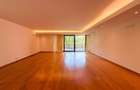Apartament spectaculos cu terasă și grădină | Mircea Eliade, Primăverii - 4