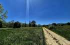 823 mp teren extravilan, ideal rulota/cabana weekend - 7