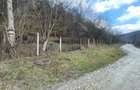 vand cabana in santejude vale jud. cluj