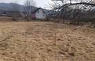 Teren Viseu de Sus Simion Barnutiu(zona Peny) - 3