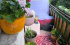 Vand apartament cu 4 camere - 6