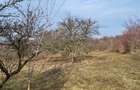 Teren Intravilan 43Ari zona Ortelec-Zalau intre case 4800eur/ar - 3