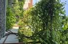 Vand Casa zona Calea Dumbravii-strada Bacovia 585.000 - 4