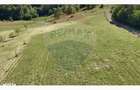 Teren 20.170mp | Livada | Suncuius, Bihor - 12