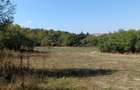 Teren 1000 mp, judetul Sibiu, localitatea Amnas, pretabil A frame - 6