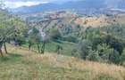 Teren de vanzare | Magura, Brasov | Oportunitate de Investitie - 2