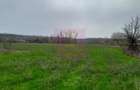 De vanzare casa +teren 16k mp in BARCANESTI / IL - 9