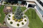 Apartament 3 camere, 65 mp, etaj 4, Campeador/Vox - 3