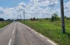 Vand 8000 mp teren in Bradu, drumul Cetului, la asfalt