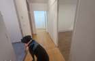 Inchiriez 2 camere pet friendly Centrul Civic str Toamnei nemobilat