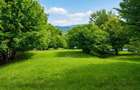 Teren 6000mp cu Lac | Valea Uzului | Zona Turistica de Top | Utilitati in dezvoltare - 3