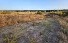 teren intravilan Vladiceasca Snagov 500m2 +1/4 din cota drum,langa lac - 3