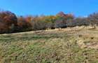 Casa Valea tarnei 8 hectare p mant - 3