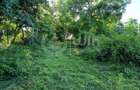Teren intravilan 1340mp ideal pentru casa in Sat Gheorghieni! - 3