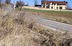 Teren intravilan Bacau DJ 119-Statiunea Sarata Bai - 9