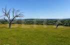 Teren de vanzare in Adancata, 4500mp - 2