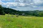 Proprietate cu potențial de dezvoltare – Breaza | Drumul Talii - 6