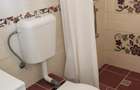 Vila superba 8 camere ,stil conac Brancovenesc - 10