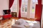 Inchiriez apartament 1 camera ultracentral - 7