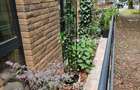 2 camere | Prima inchiriere Nou |Metrou Timpuri Noi| Direct Proprietar - 9