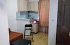 Garsoniera Baicului/Doamna Ghica - 3