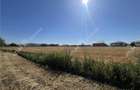 Teren de 3752 mp pozitionat pe colt cu PUZ situat in Cristian - 7