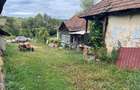 Casa si anexe, teren 5000 mp Mineu, Salaj - 5