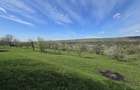 Teren extravilan 2500 mp Izvoarele Jud . Prahova - 4