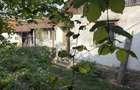 Vand casa in Bradet, jude?ul Bihor - 2