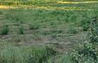 Teren intravilan de vanzare 100 lei m - 5