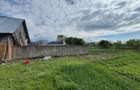 Casa individuala, teren mare, partial renovata-Arpasu de Sus-Sibiu - 19