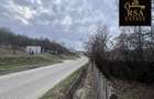 Vanzare teren 2100 mp, Mihaesti Barsesti, ideal casa sau investiti - 3