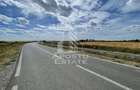 Teren 55.000 mp, front stradal 354 ml, asfalt, Remetea Mare -Ianova. - Ianova (Timis)