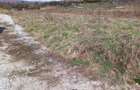Teren intravilan 500 mp-ideal casa-Zona Dr. Tarpiului