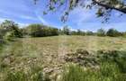 Teren intravilan, 1600 mp, sat Cucorani - 1