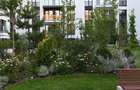 Dau in chirie apartament 2 camere zona Mosilor - 6