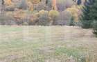 Teren intravilan, 4000 mp, zona Panaci - Vatra Dornei
