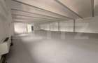 Spatiu comercial, 750 mp, zona Lipovei - 4