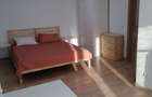 Inchiriez apartament langa C.N.I.Minulescu - 3